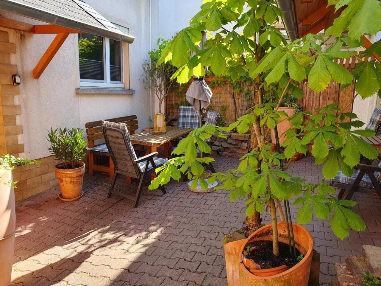 Haus Zwanzig Βίλα Weisel Εξωτερικό φωτογραφία